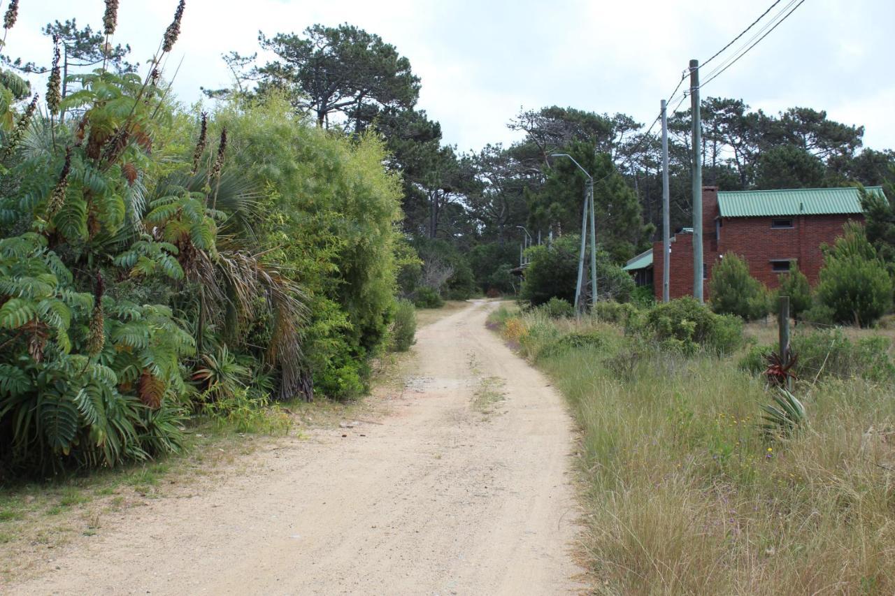 La Paloma Containers Suites Kültér fotó